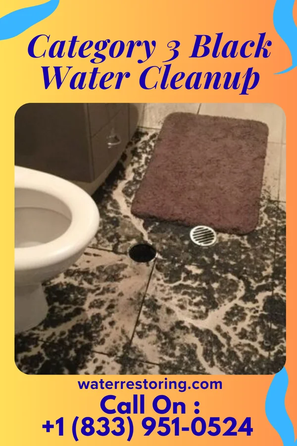 Category 3 Black Water Cleanup in Douglas, OK